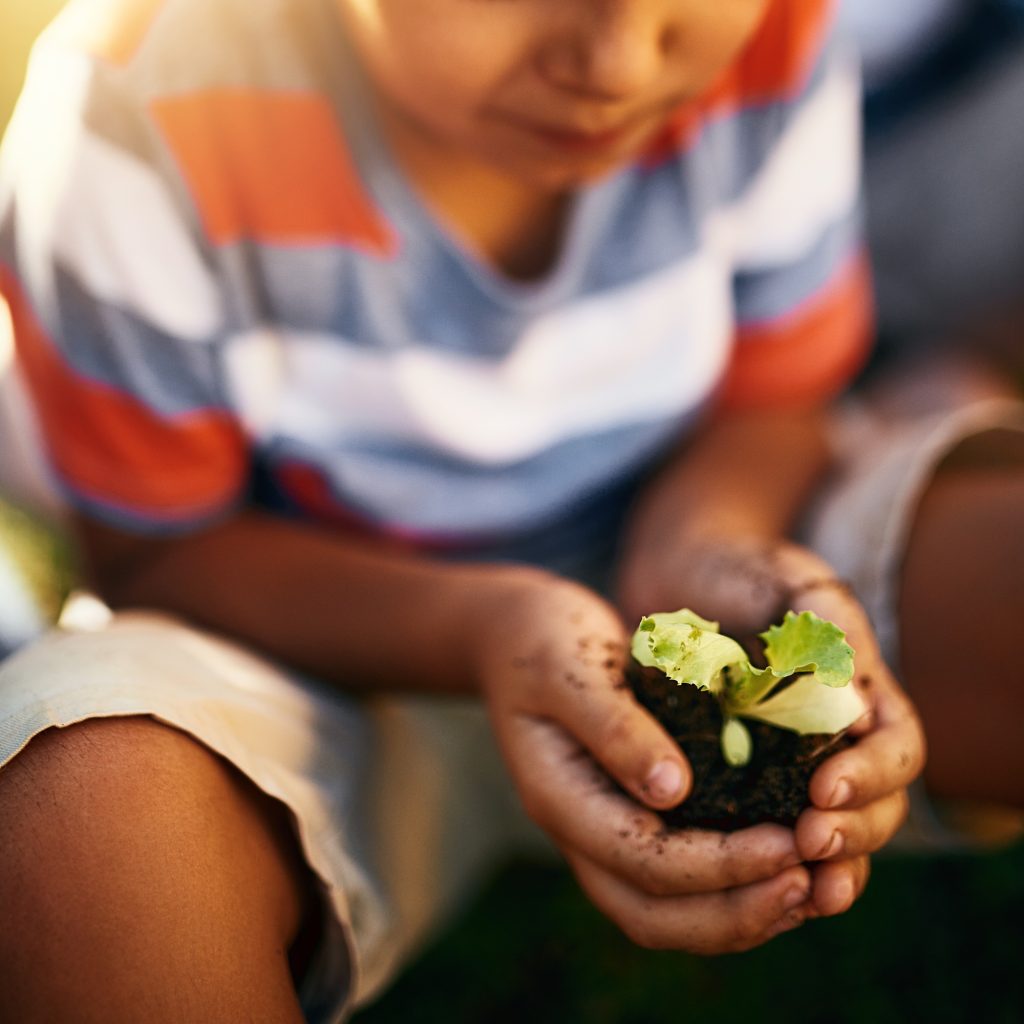 Teach kids to build respect for the environment